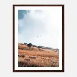 00fbfbf0-9145-410f-ae4f-13d21391d563