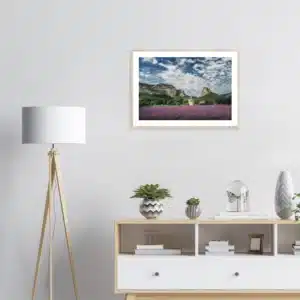 02f12163-ff09-47c9-a88f-8906d452f1ac