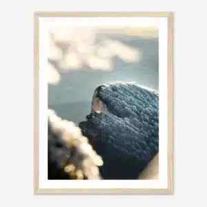 04cc2317-b61f-4de0-b244-3ebdfd03b552
