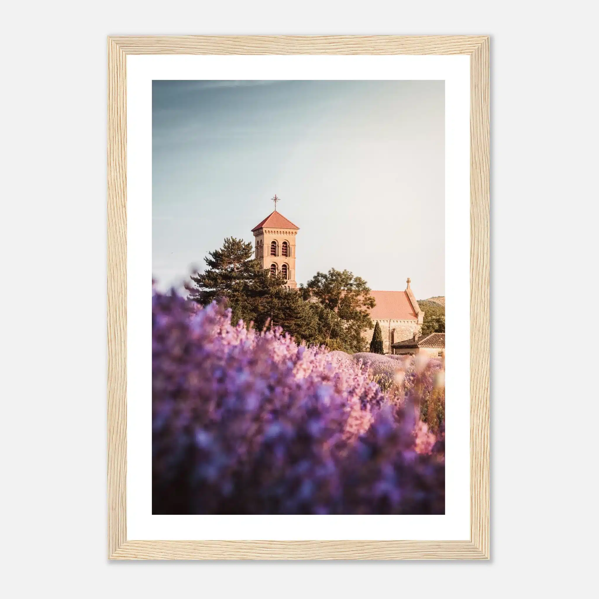 05a0dcdf-ae44-4c69-8b5f-bf73bd96cf6b