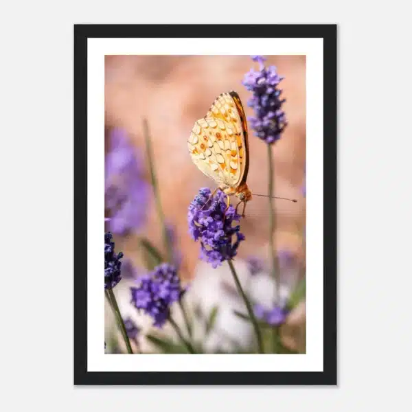 06d5d29d-3638-4b3a-9769-d89bf0a2c950