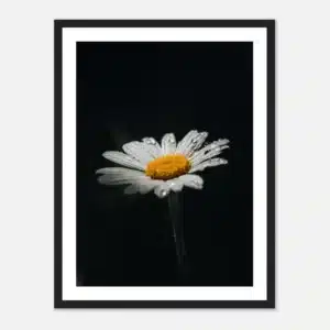 0bcfbafc-794b-4c73-9d6c-c421a3d019a0