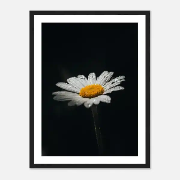 0bcfbafc-794b-4c73-9d6c-c421a3d019a0