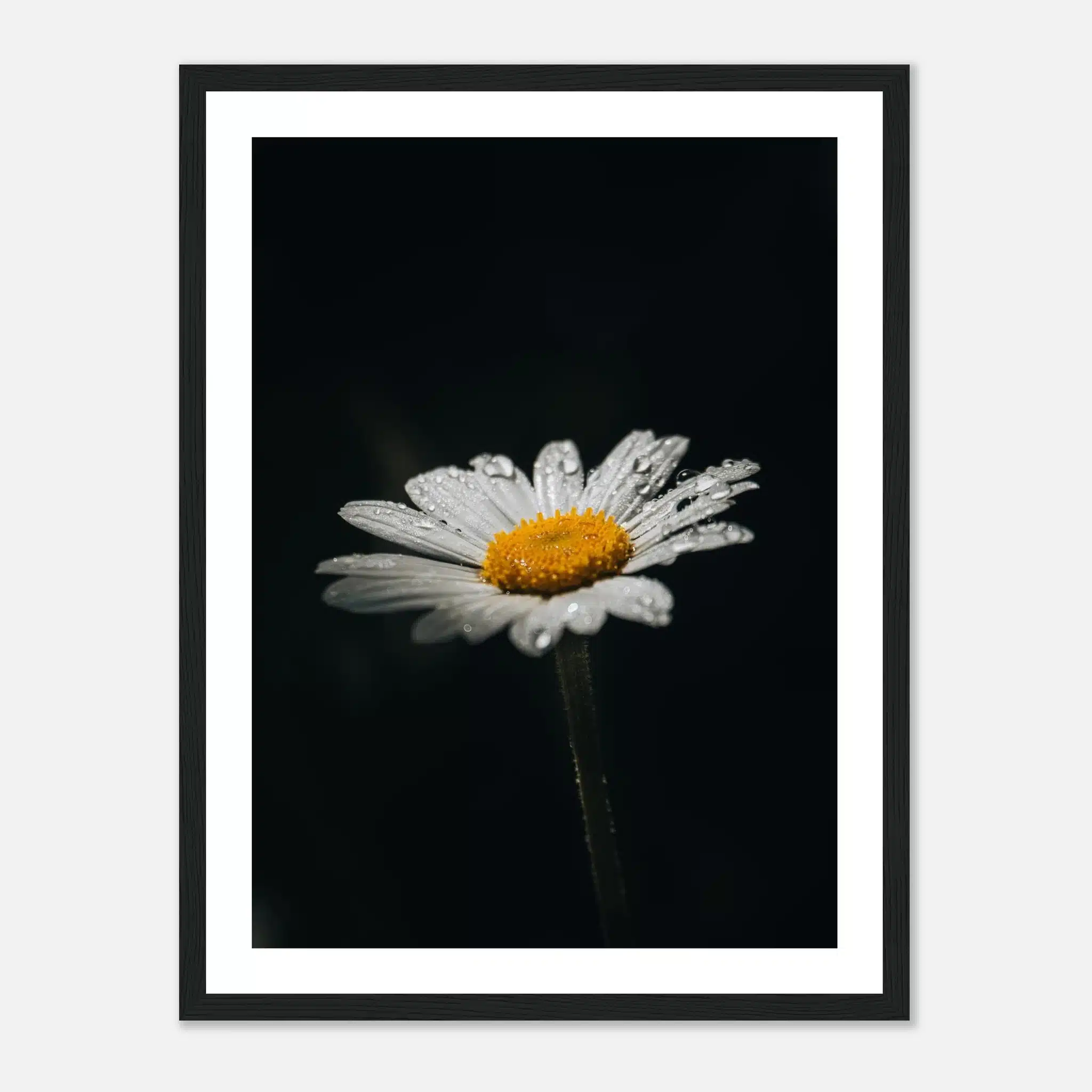 0bcfbafc-794b-4c73-9d6c-c421a3d019a0