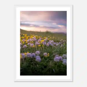 0c68a835-b1e4-4a8b-a873-35982a77c91d