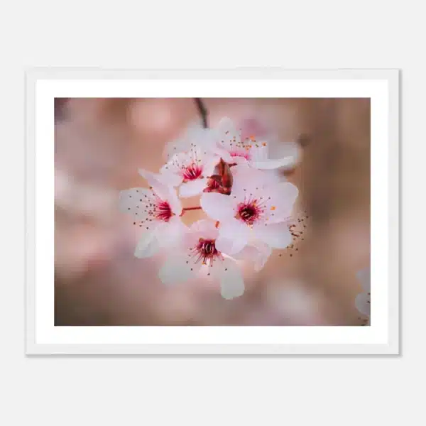 0caf246f-7804-471b-940e-8a15626f1083