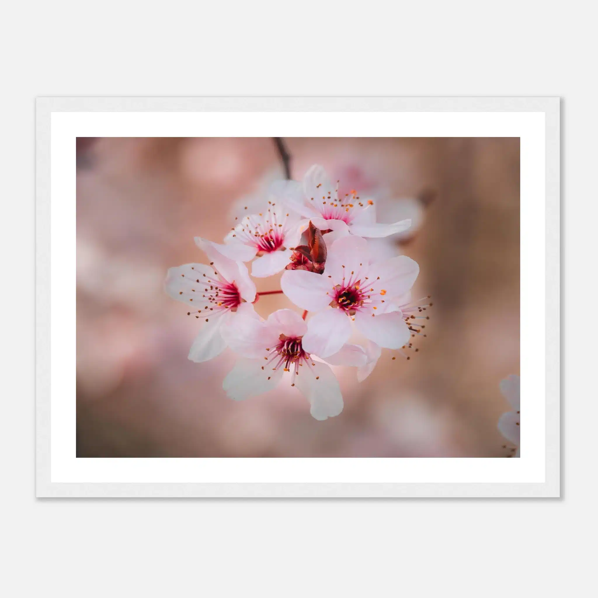 0caf246f-7804-471b-940e-8a15626f1083