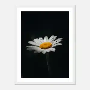 0f82a410-9f9f-4182-a4a8-de5b174cf26f