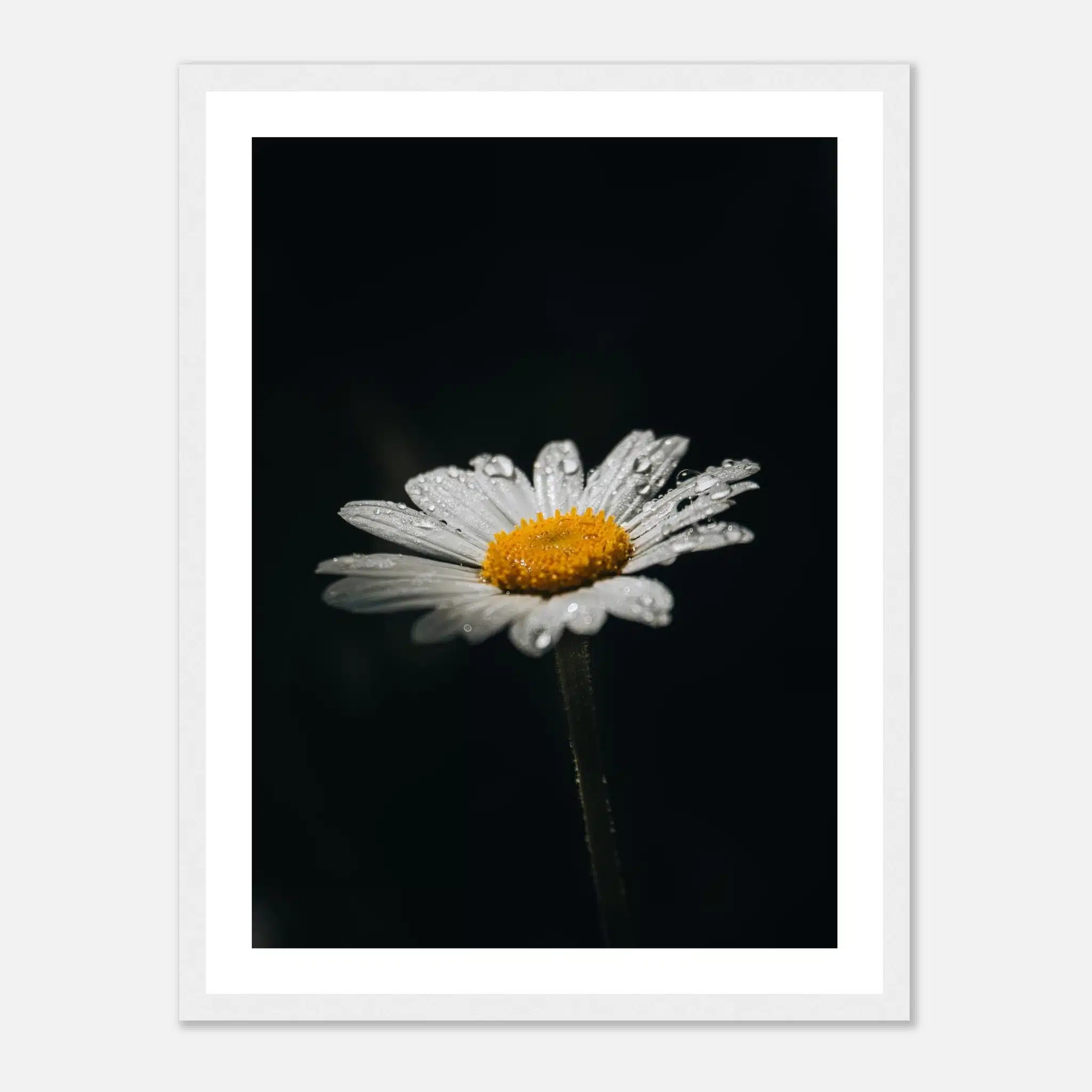 0f82a410-9f9f-4182-a4a8-de5b174cf26f