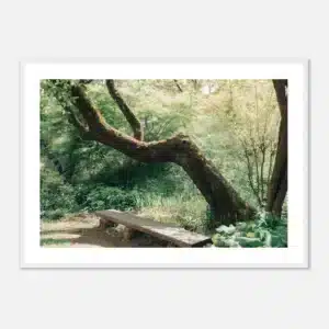 0fbeb5cc-0771-41f7-8a3c-afbfd4cc78fa