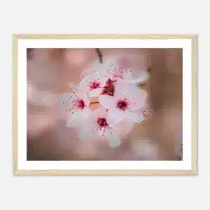 0fcade0f-1516-4dad-a9a5-e84a4e41fe71