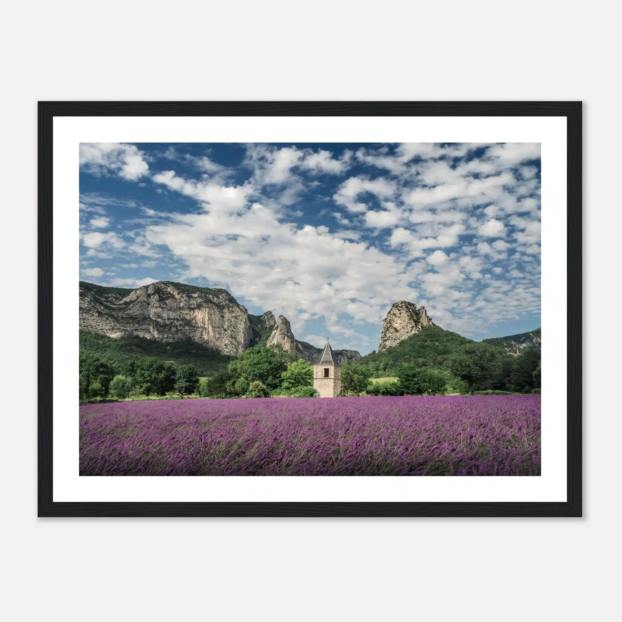 1b6f3adb-b4ee-4757-bebd-a6b76aaebe77