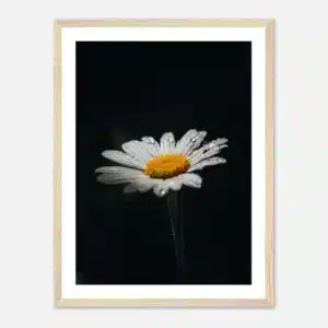 1c8a58ac-8ca4-4d52-9322-86274ca04621