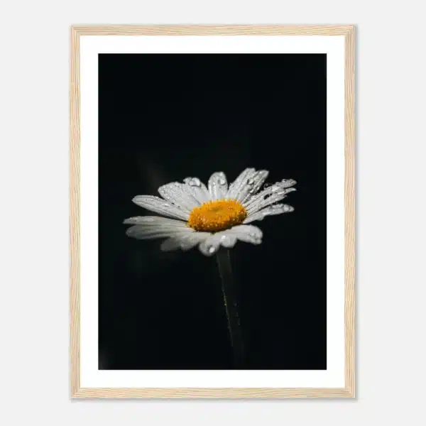 1c8a58ac-8ca4-4d52-9322-86274ca04621