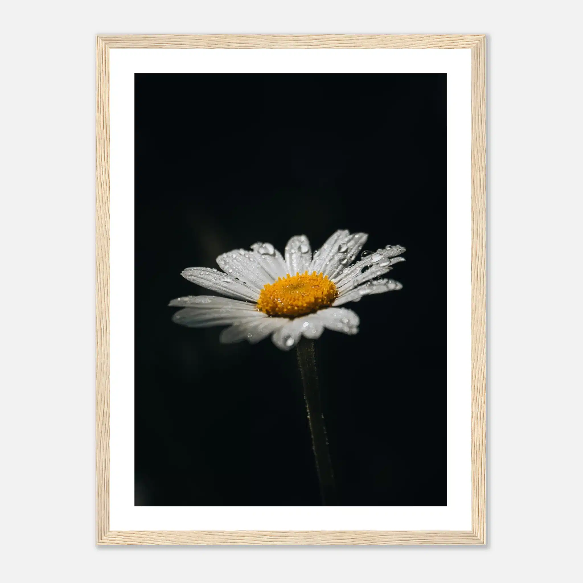 1c8a58ac-8ca4-4d52-9322-86274ca04621