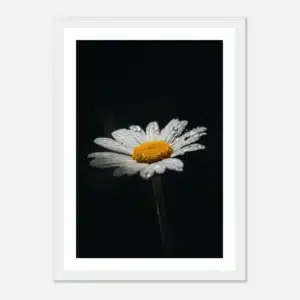 1caa7552-791a-4c81-9d85-65d98013fbc6