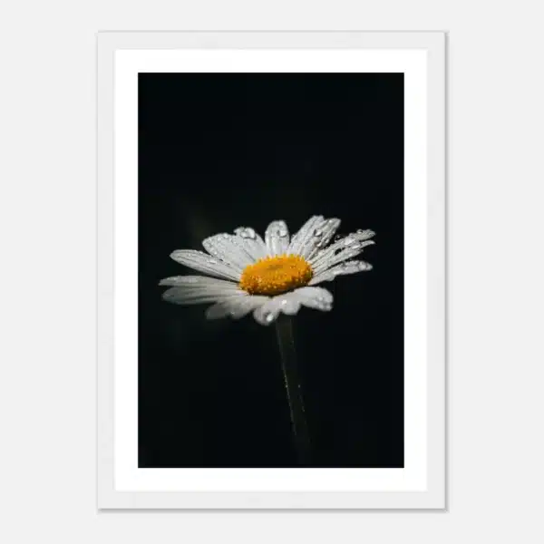 1caa7552-791a-4c81-9d85-65d98013fbc6