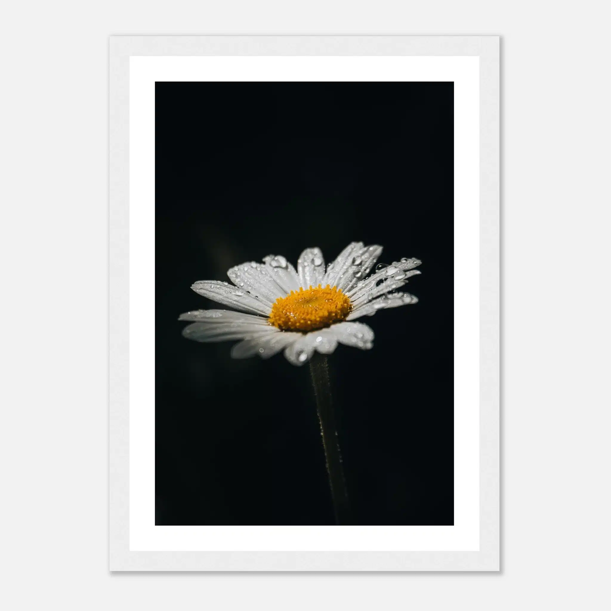 1caa7552-791a-4c81-9d85-65d98013fbc6