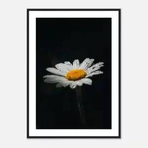 1cfbce83-bb84-4494-85ea-38d6c70f25a3