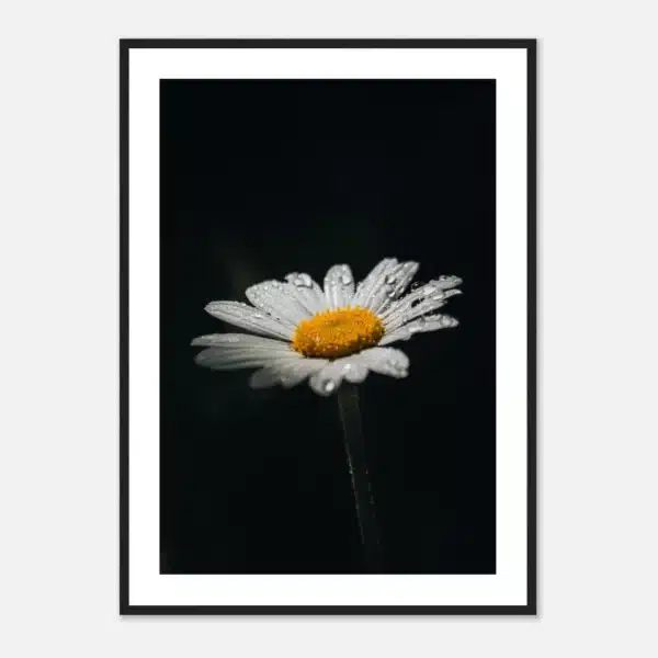 1cfbce83-bb84-4494-85ea-38d6c70f25a3