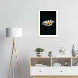 1d09b2f4-d360-459e-8e2f-523253a8fd8a