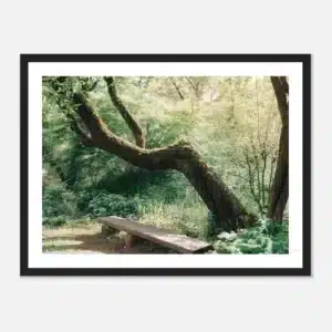 21f54363-d498-46bc-bfeb-2453b55fd3be