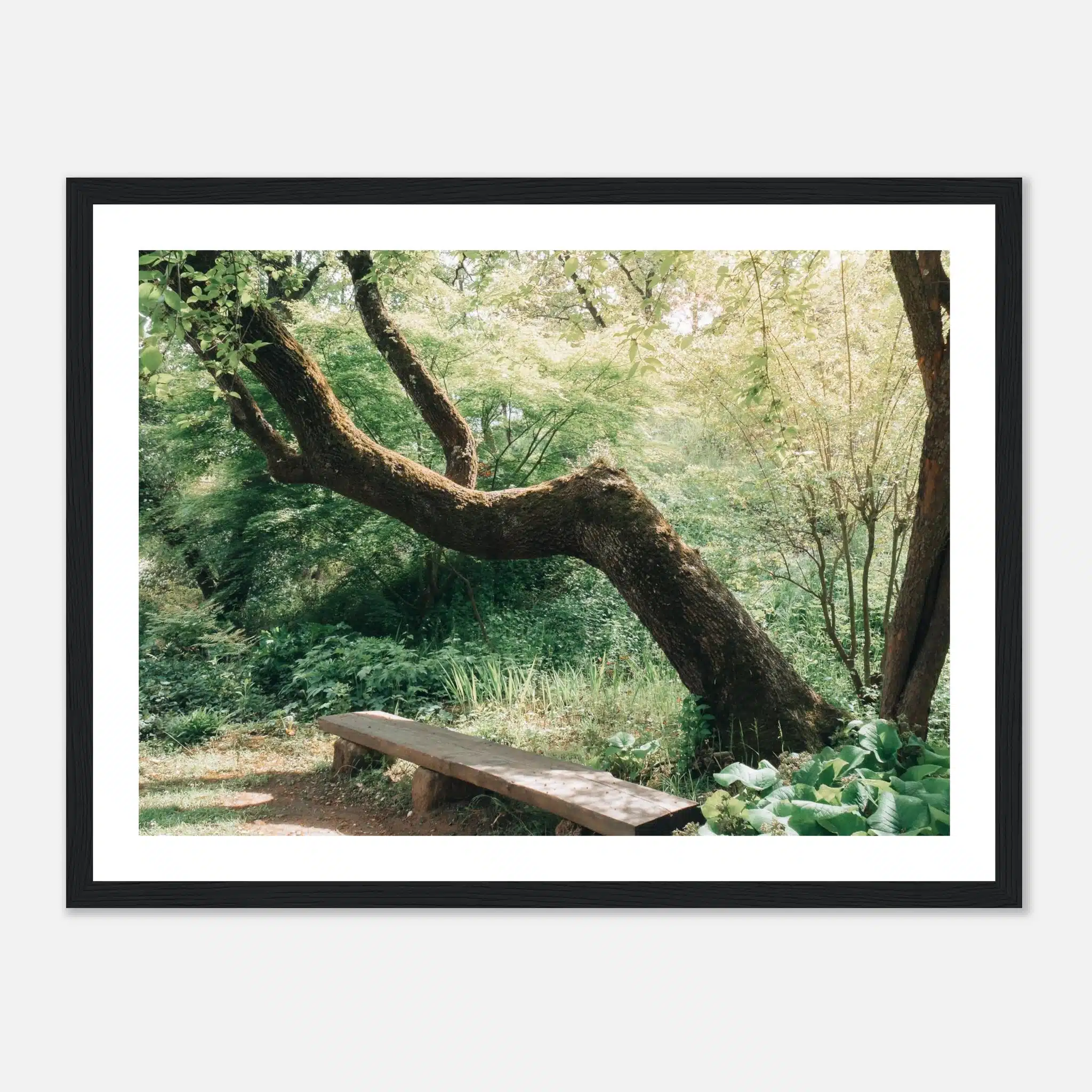 21f54363-d498-46bc-bfeb-2453b55fd3be