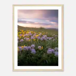 242b0682-b84c-42a6-af56-6042adb954a2