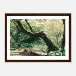 2583d53e-c3f3-4165-a8d8-682775a6bce2