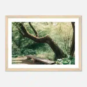 28b5efab-d2a6-4fd9-8aae-147ee17d60d3