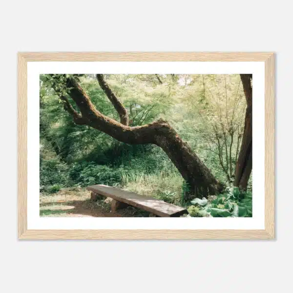 28b5efab-d2a6-4fd9-8aae-147ee17d60d3