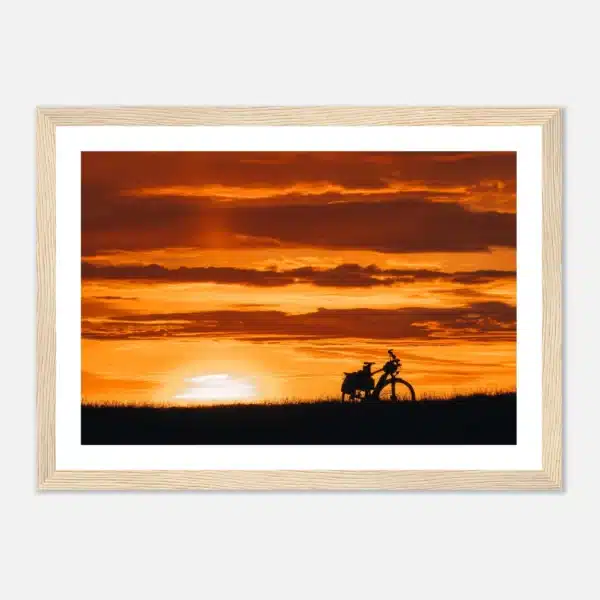 2c910631-40bf-42d7-93cb-acbfa8b011c1