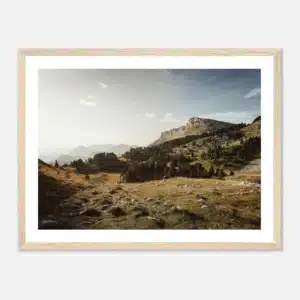 2e4a398c-bc2a-4f3a-824f-5ee5204edf1e