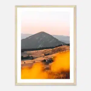 335f3ed7-d556-4eb8-b8af-c69ea943cb8e