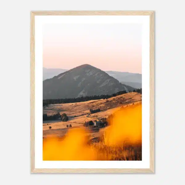 335f3ed7-d556-4eb8-b8af-c69ea943cb8e