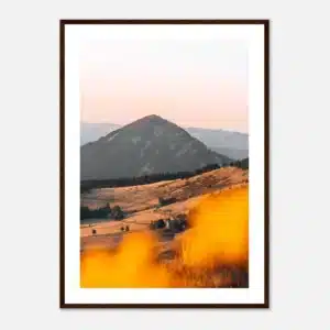 34008275-900a-48d1-8ab4-4dbd7c515407