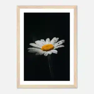 34018681-3e78-4a60-bd0a-10d7ec214634