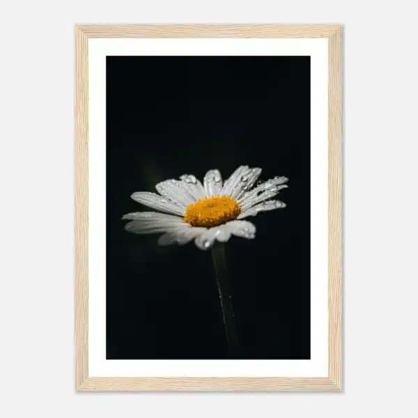 34018681-3e78-4a60-bd0a-10d7ec214634