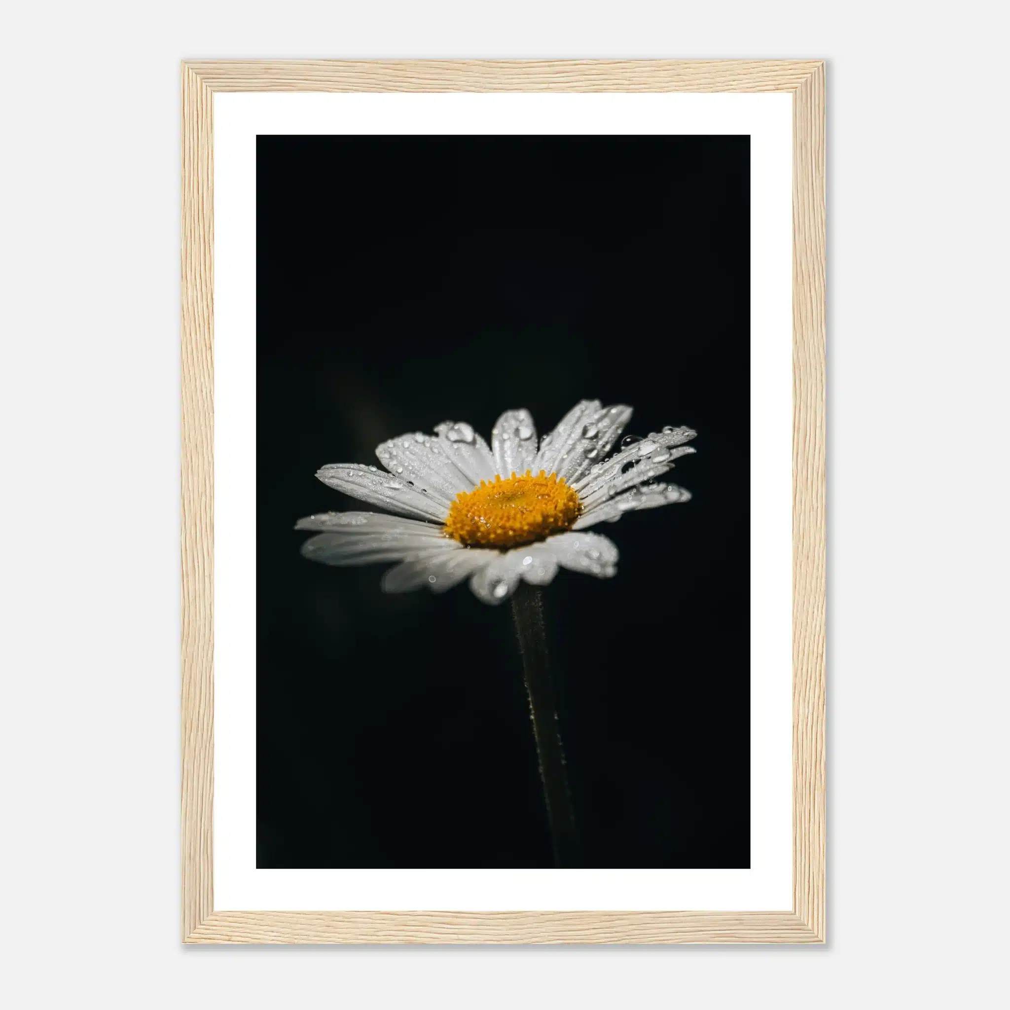 34018681-3e78-4a60-bd0a-10d7ec214634