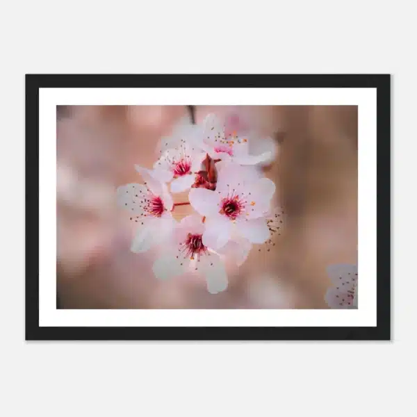 3707887a-49bb-47c8-b378-7e70278776e3