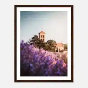 38059fe2-10ea-4160-b169-d37cd022f156