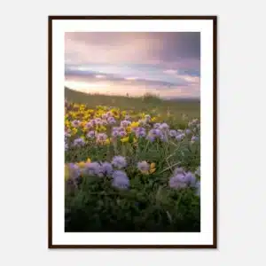 388359cd-3fe5-463b-a869-6dd83ab6ea97