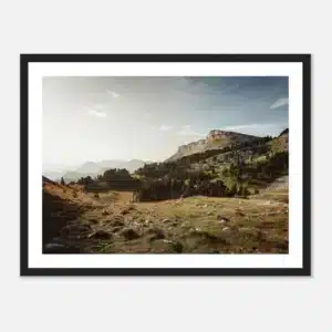 38a2f9a6-c019-49cf-a436-95ae12c8b508