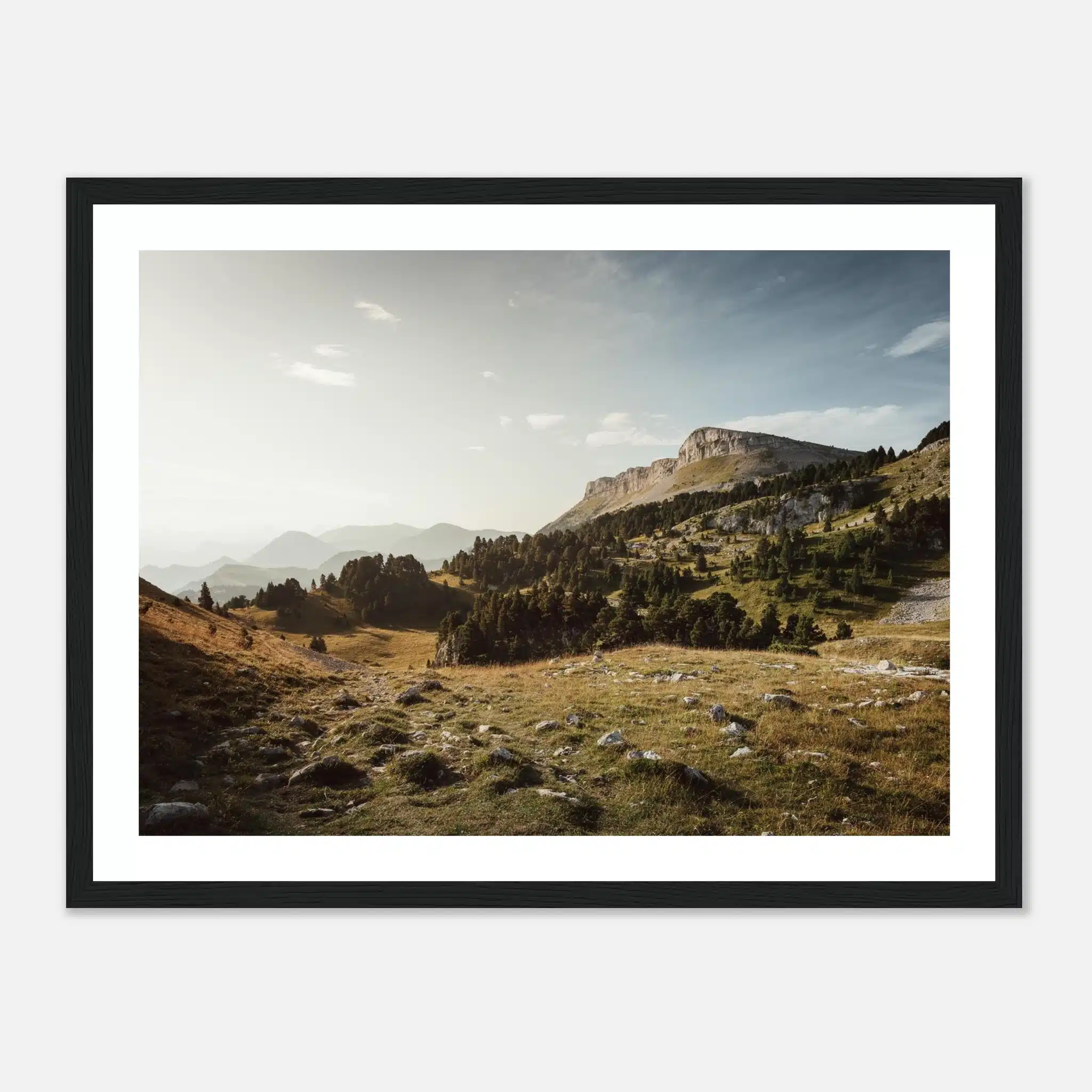 38a2f9a6-c019-49cf-a436-95ae12c8b508