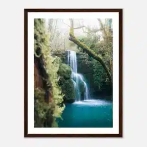 3f60916d-e9ba-4cac-a754-9c4e6dfdcf3a