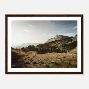 481c8281-6c00-4fc0-b50c-5e16df9bdd9a