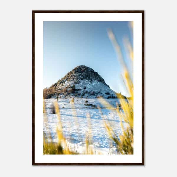 4de54e3e-e373-459b-b7e2-12e2558a6ef4