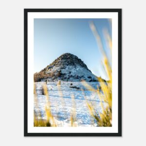 50749056-0c87-4b29-b0b8-e490e3f69880