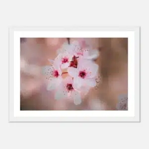 55b573a0-24fc-4be4-81e3-7be96dae4754