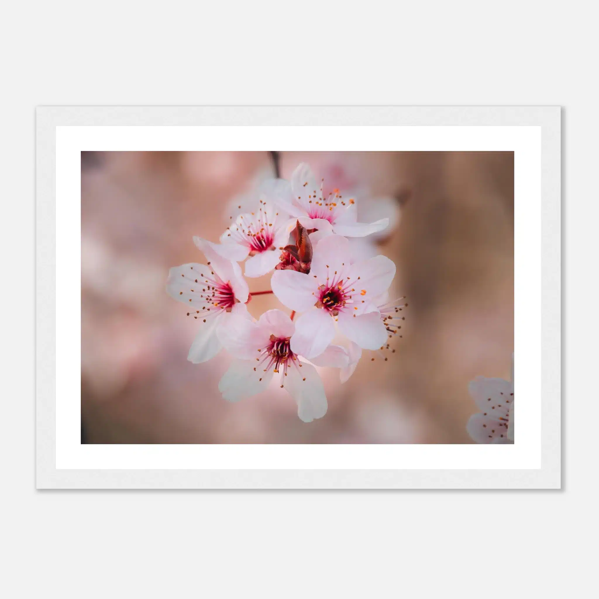 55b573a0-24fc-4be4-81e3-7be96dae4754